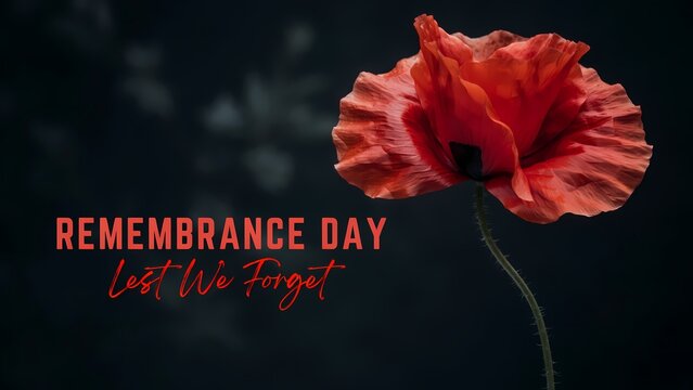 Red poppy flower for remembrance day with text lest we forget on a dark background