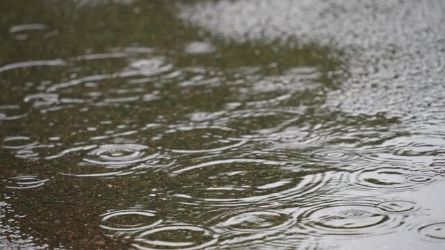 cinematic close-up shot of raindrops falling into a puddle on an asphalt surface creating overlapping circular ripples during a rainstorm