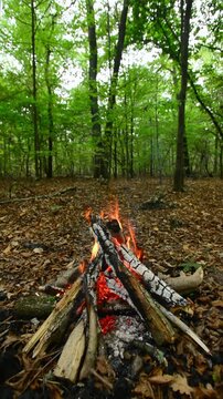 Wilderness tepee campfire burning with bright vibrant orange flames. Seamless loop background visual asset featuring natural timber logs and glowing hot charcoal outdoors.