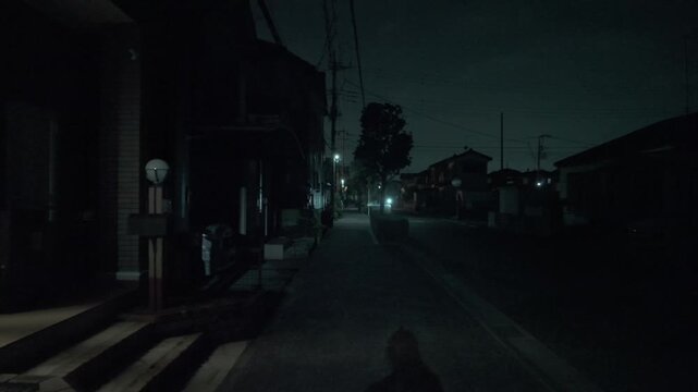 POV of someone walking down a dark, eerie residential street in Japan at night with a person's shadow. Cinematic horror thriller style.