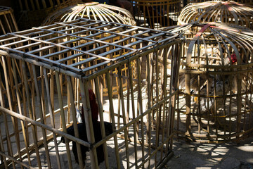 a chicken coop made of bamboo © Widhi
