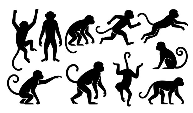 Black monkey silhouette collection in different poses for Chinese New Year 2016 zodiac vector
