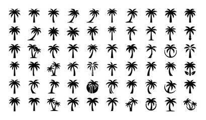 Fototapeta premium Dynamic Black Palm Tree Tropical Silhouette Logo Marks Vector Collection