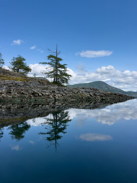 Trees, clouds and sky reflected in calm water along the coast
