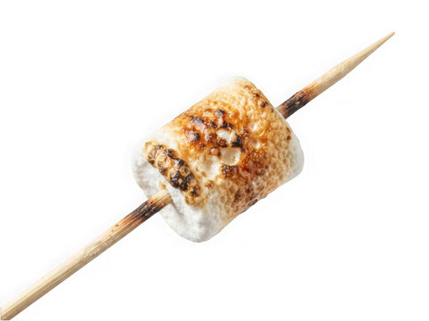 A single delicious toasted marshmallow on a wooden stick ready for a campfire treat isolated on a transparent background isolated on transparent background