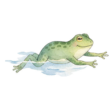 frog