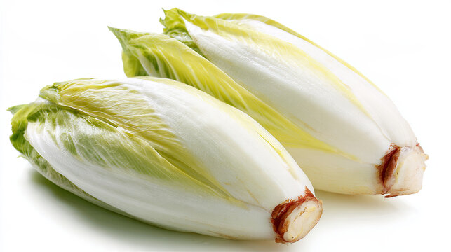 transparent endive heads isolated on white background