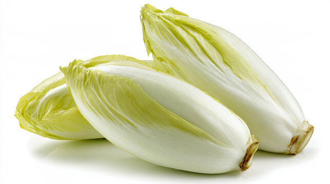 endive heads on white background