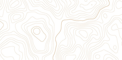 Complex topographic contour map background with contour lines geographic map terrain land survey relief data visualization lines pattern abstract © MD