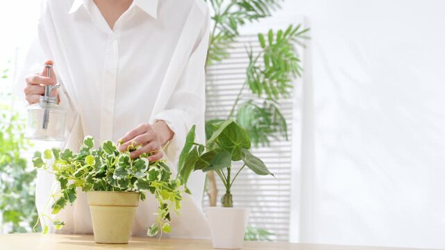 A woman spraying plants. Gardening, horticulture, houseplants, hobby, watering, fertilizing, pest control, care, indoors.