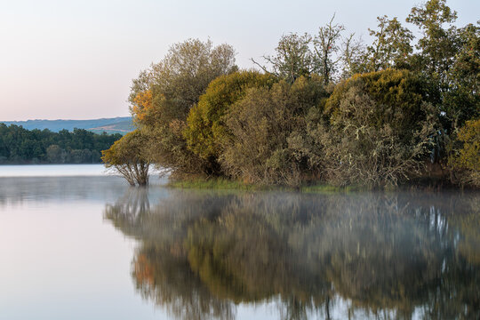 Forests and waters of the Valpara&iacute;so Reservoir, Zamora, Castile and Le&oacute;n, Spain.