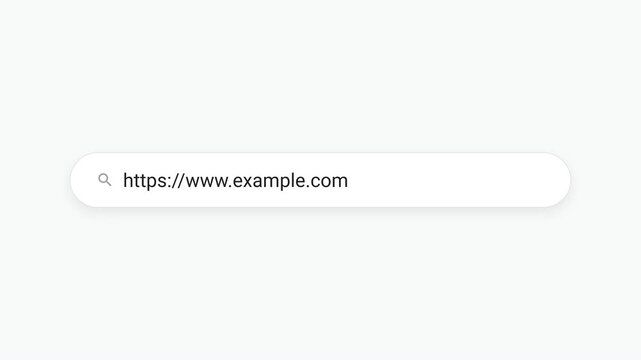 Clean light mode web browser search bar typing [https://www.example.com](https://www.example.com) text animation