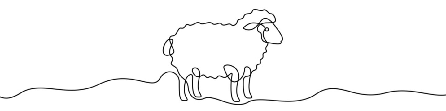 Sheep line icon, continuous one line drawing