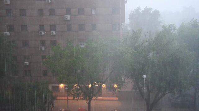 Lluvia fuerte, descargar tormenta, arreciar agua, borrasca intensa, aguacero, diluvio de agua y dana ciclog&eacute;nesis explosiva con &aacute;rbol y edificio