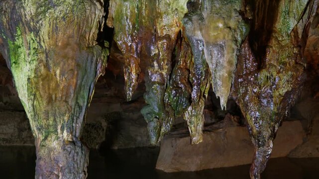Multiple stalactites hang from a cave ceiling, displaying mineral deposits in brown, orange, and green tones with moss growth. The camera maintains a static upward angle capturing.
