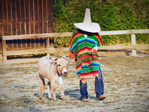 Typical South American Cowboy