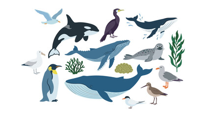 Fototapeta premium Marine animals and ocean birds flat vector icon set. Whales, orca, seal, penguin, seagulls, cormorant, coral, seaweed. Sea wildlife nature fauna concept.