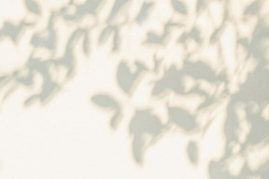 Leaf shadow and light on wall beige background. Nature tropical gray leaves plant and tree branch shade with sunlight on wall texture for background wallpaper and design, shadow overlay effect