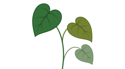 Obraz premium Green Heart Shaped Leaves Plant Stem Isolated Transparent Background