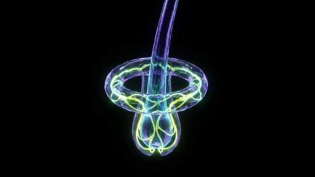 結晶化された毛包と神経ネットワークを電位勾配が包む医療科学CG背景