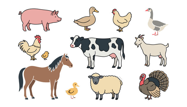 Cute farm animals vector illustration set featuring cow horse pig sheep goat chicken duck and turkey on white background