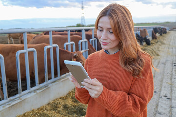 Young woman farmer using a digital tablet to monitor cattle in a modern outdoor livestock farm © SISMIZ