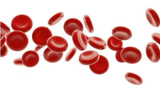 Red blood cells floating dynamically isolated on transparent background. Medical concept for biological science education and health infographics.