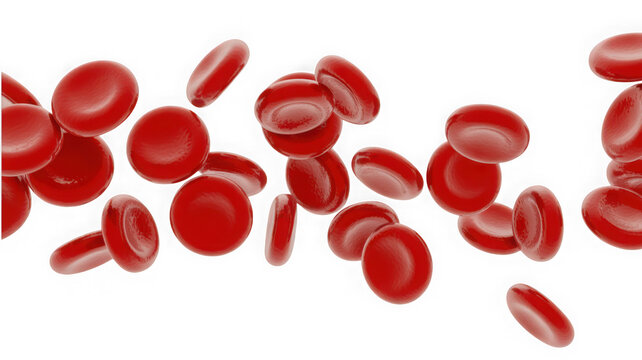 Red blood cells floating dynamically isolated on transparent background. Medical concept for biological science education and health infographics.