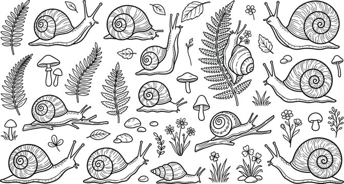 Hand drawn snail collection with spiral shells, ferns, mushrooms, flowers and leaves, black and white woodland nature vector illustration
