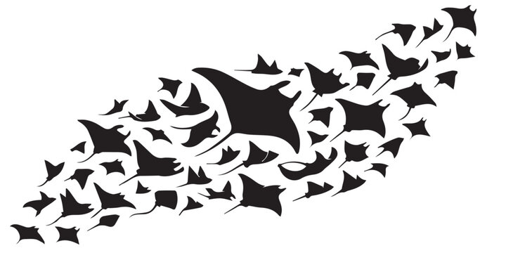 School of manta rays silhouette sea marine life vector