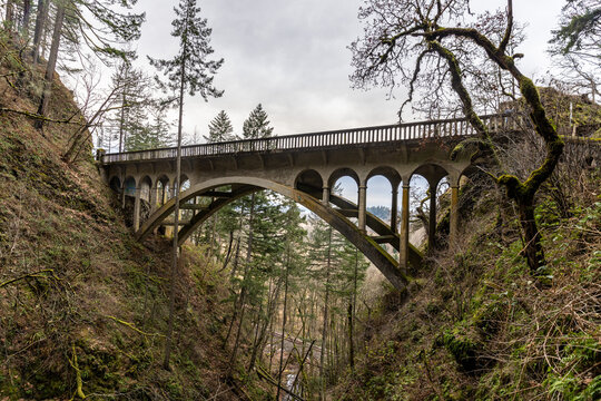 Arched Bridge Above Shepperd's Dell Wooded Ravine