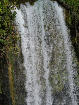 Fresh spring waterfall surrounded by green vegetation