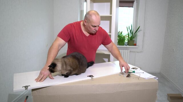 A man works on assembling new furniture while a curious cat explores the box and surface beside him. The room is well-lit and features houseplants in the background.