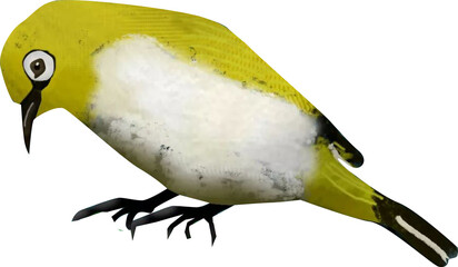 yellow and blue tit © refdika