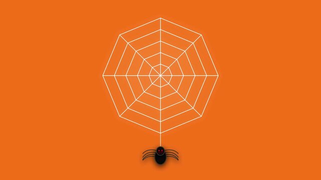 Creepy Spider Web with Hanging Spider Seamless Loop Animation