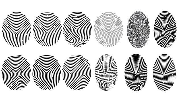 Fingerprint color vector illustration