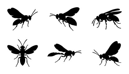 Fototapeta premium Insect Silhouettes: Wasp Vector Icons, Flying and Static Poses, Black and White