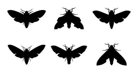 Fototapeta premium Six Black Moth Silhouettes, Insect Vector Icons, Nocturnal Flying Creature Graphics