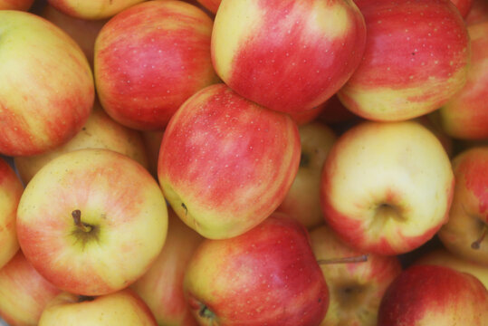 Many fresh red apples as background	