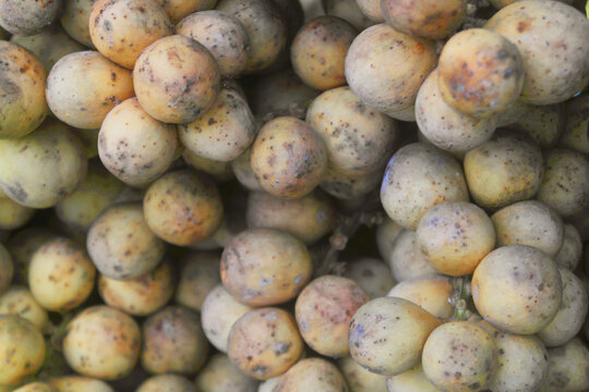 Many ripe langsat  or longkong fruits as background	