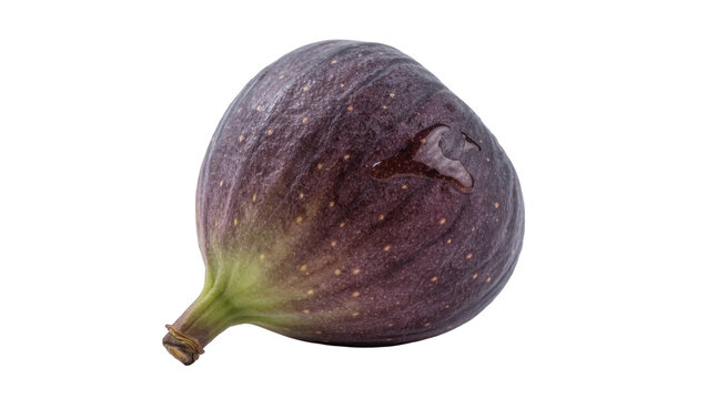 Single ripe dark purple fig with green stem, isolated on transparent background