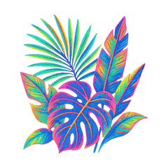 Obraz premium PNG Vibrant tropical leaves illustration