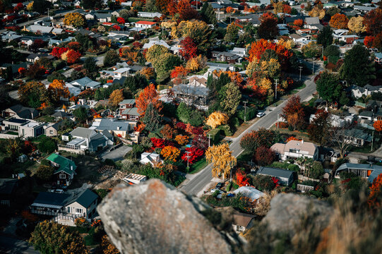 Vibrant Autumn Foliage and Residential Area of Arrowtown from Feehly Hill
