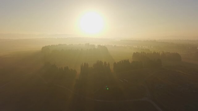 Morning mist and sunlight illuminating layers of tree groves and rural valleys near Kibbutz Dalia.