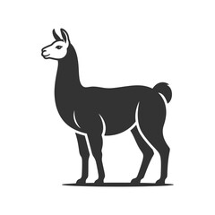 Fototapeta premium Silhouette of a standing llama in profile on white background.
