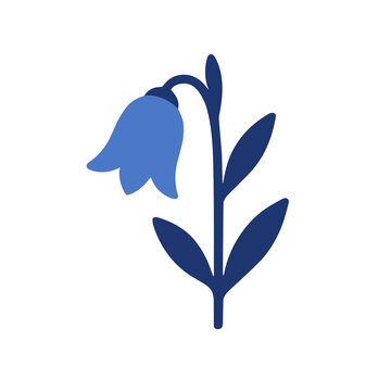 Stylized bluebell flower illustration