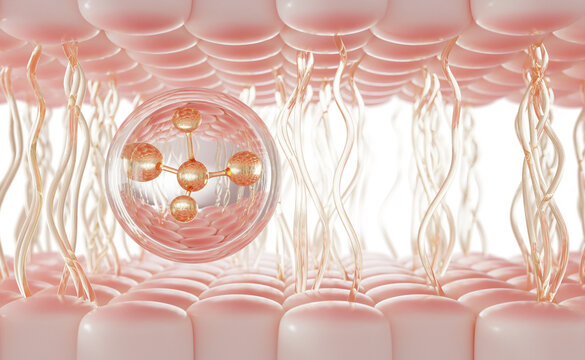 3d skin layers with collagen and elastin fibers. Pink cell structure with gold molecule in clear bubble. Cosmetic skincare background, anti-aging serum drop, beauty gel cream sphere