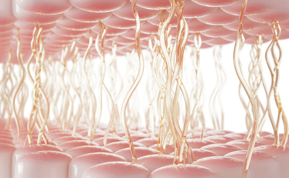 Collagen and elastin fiber network 3d background. Pink skin layers with connective tissue. Yellow wavy elastic protein structure. Anti-aging, rejuvenation, lifting, cosmetic concept