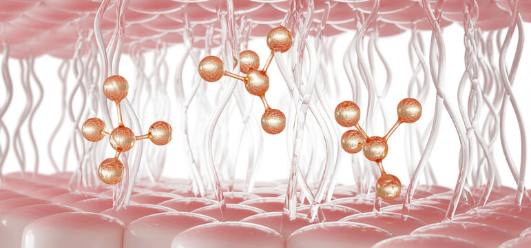 Collagen and elastin fibers with gold molecules. Fibroblasts pink cells in connective tissue with cosmetic lab formula. Anti aging wrinkle serum, regeneration and repair skin texture