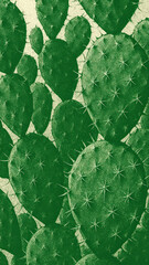 Obraz premium Prickly pear cactus texture mobile wallpaper